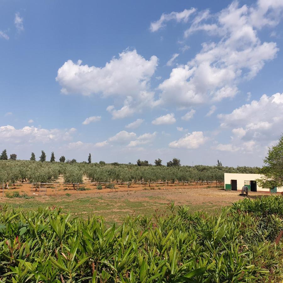 Finca-Vallestares Almonte Kültér fotó